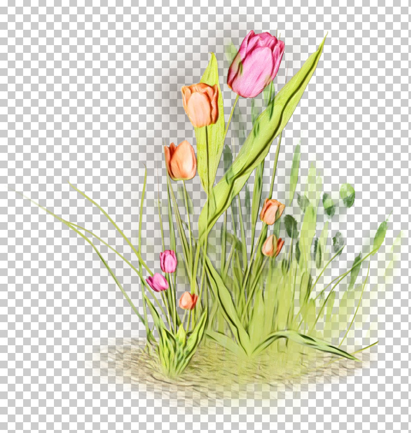 Floral Design PNG, Clipart, Anthurium, Crocus, Cut Flowers, Floral Design, Flower Free PNG Download