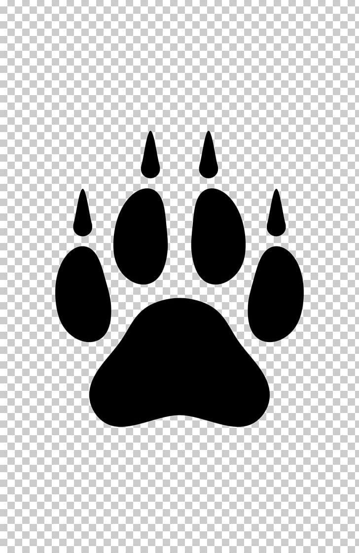 Dog Arctic Wolf Paw PNG, Clipart, Animal Track, Arctic Wolf, Black, Black And White, Claw Free PNG Download