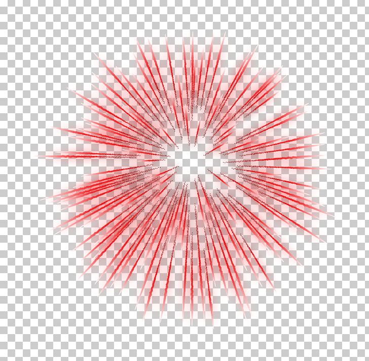 Fireworks Animation PNG, Clipart, Adobe Fireworks, Animation, Circle, Clip Art, Color Free PNG Download