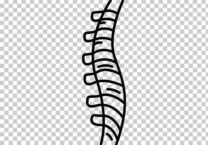 Human Vertebral Column Anatomy Spinal Cord PNG, Clipart, Arm, Black, Black And White, Cervical Vertebrae, Chiropractic Free PNG Download