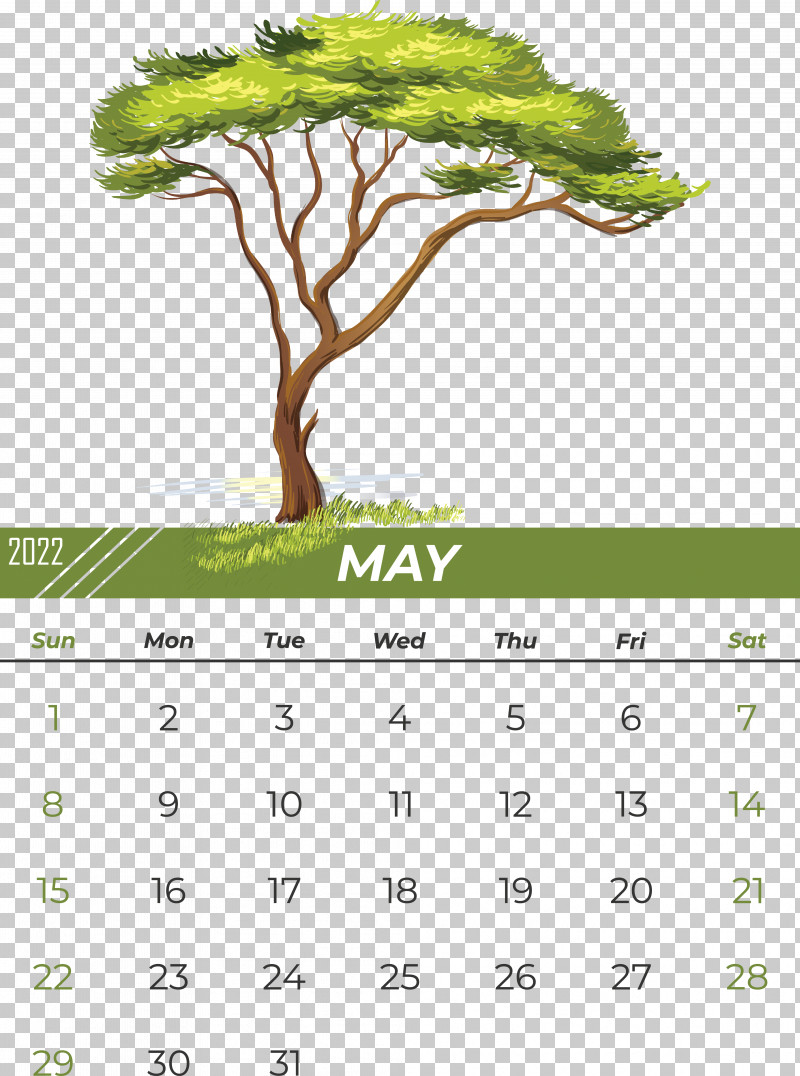 Tree Drawing Baobab Cartoon Shade Tree PNG, Clipart, Baobab, Cartoon, Drawing, Royaltyfree, Shade Tree Free PNG Download