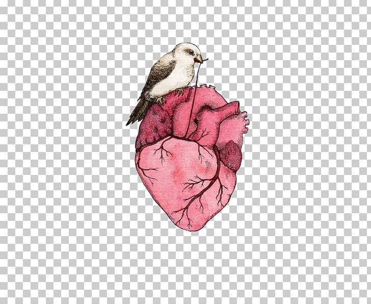 Heart Anatomy Drawing PNG, Clipart, Alper, Anatomy, Art, Artist, Art Museum Free PNG Download