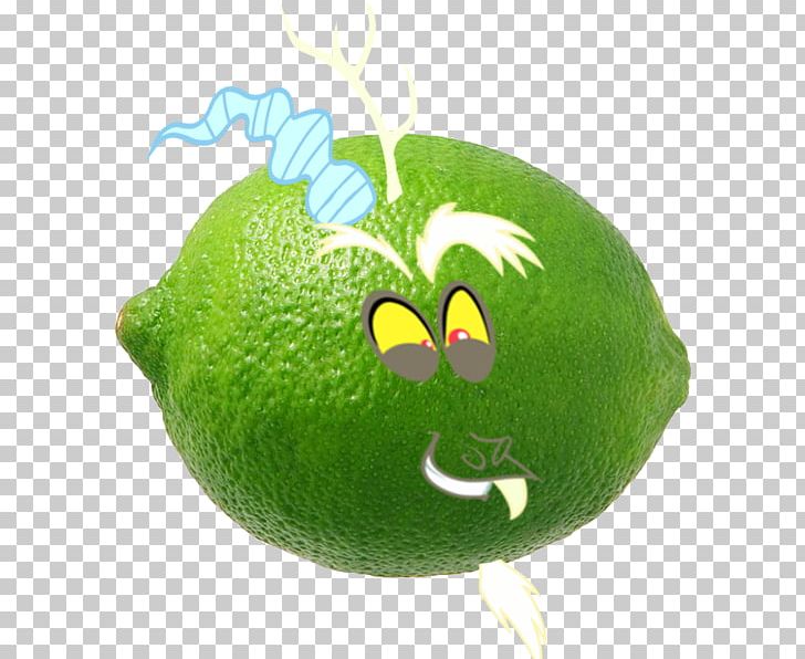 Key Lime Lemon Persian Lime Citron PNG, Clipart, Acid, Apple, Citric Acid, Citron, Citrus Free PNG Download