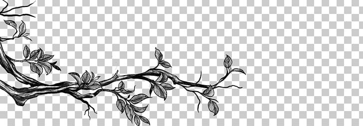 Twig Sketch Design Graphics Plant Stem PNG, Clipart, Antler, Art, Artwork, Black And White, Branch Free PNG Download