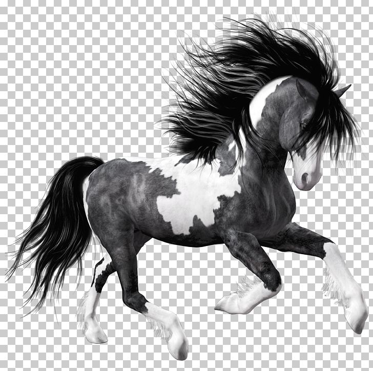 Horse Black PNG, Clipart, Animals, Black, Black And White, Bridle, Clip Art Free PNG Download