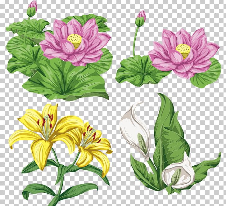 Lilium Flower PNG, Clipart, Alstroemeriaceae, Annual Plant, Artwork, Calla Lily, Cut Flowers Free PNG Download