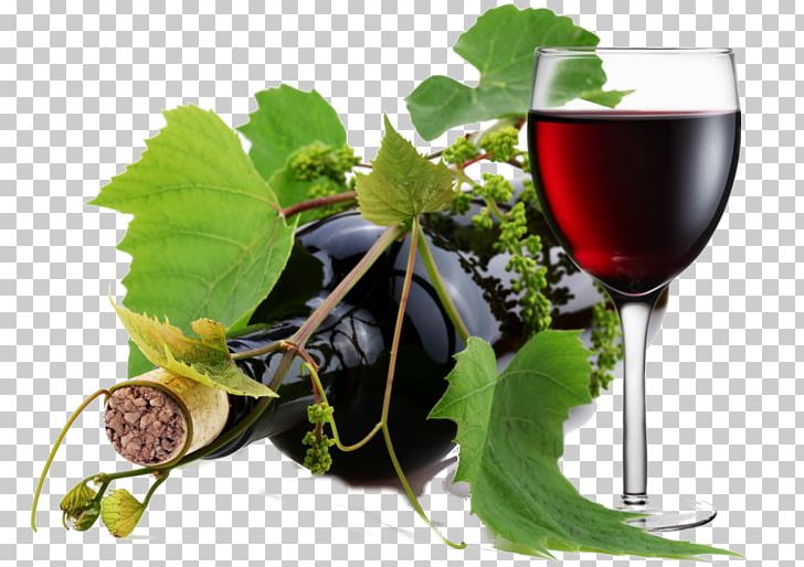 Red Wine Pinot Noir Rosé Bottle PNG, Clipart, Bottle, Common Grape Vine, Cork, Desktop Wallpaper, Drink Free PNG Download