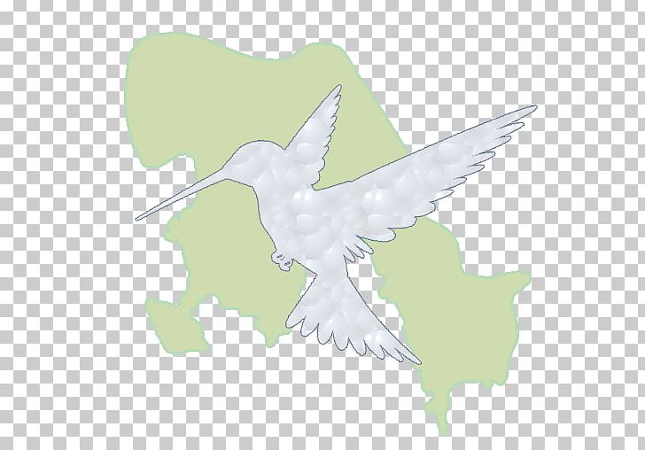 Bird Of Prey Beak Peace PNG, Clipart, Animals, Antonio, App, Beak, Bird Free PNG Download