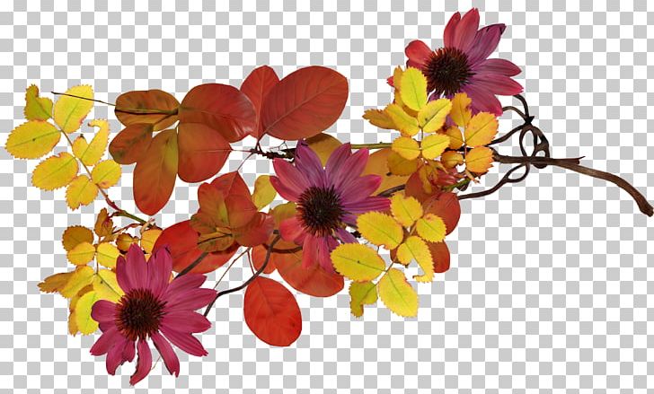 Cut Flowers Floral Design Floristry Petal PNG, Clipart, Cut Flowers, Floral Design, Floristry, Flower, Flower Arranging Free PNG Download