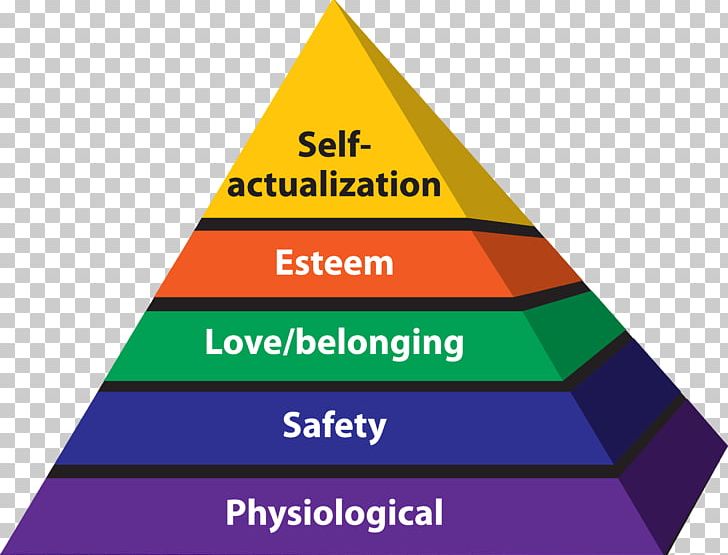 Maslow's Hierarchy Of Needs Humanistic Psychology Homo Sapiens PNG, Clipart, Abraham Maslow, Academy, Angle, Area, Brand Free PNG Download