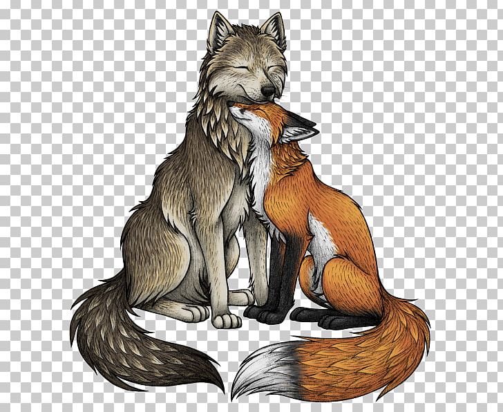 Red Fox Gray Wolf Drawing PNG, Clipart, Amp, Animals, Art, Carnivoran, Dog Like Mammal Free PNG Download