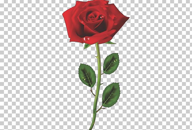 Rose PNG, Clipart, Clip Art, Cut Flowers, Desktop Wallpaper, Download, Encapsulated Postscript Free PNG Download