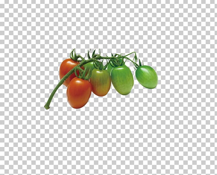 Cherry Tomato Vegetable Fruit Food Onion PNG, Clipart, Auglis, Cherry, Cherry Tomato, Cherry Tomatoes, Diet Food Free PNG Download