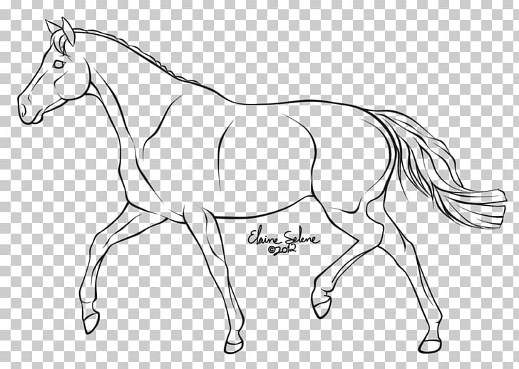 horse cantering drawing