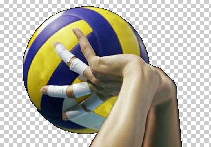 Volleyball SuperLega Volley Pesaro Sport Coach PNG, Clipart, Coach, Sport, Superlega, Volleyball, Volley Pesaro Free PNG Download