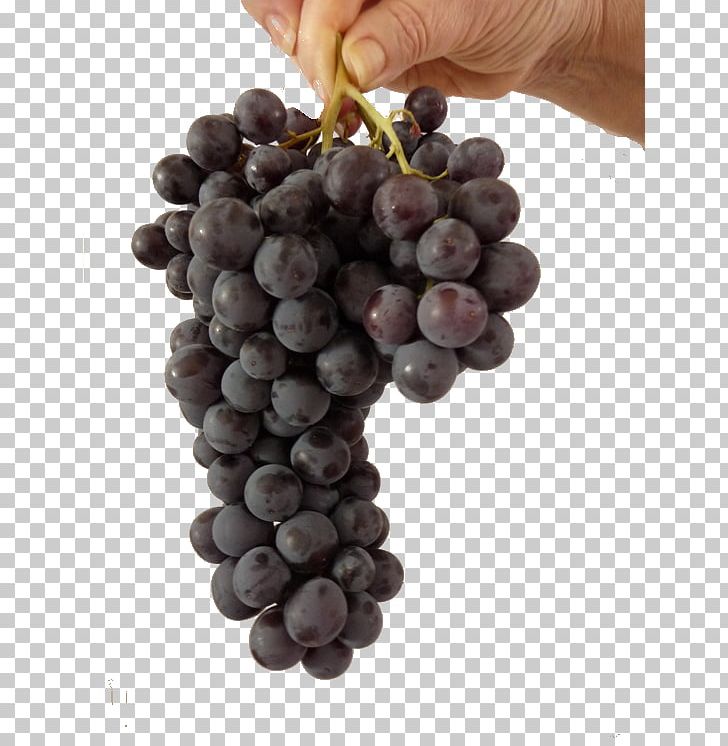 Beaujolais Nouveau Animaatio Beaujolais Vineyard Grape PNG, Clipart, Amazon Grape, Animaatio, Anime, Beaujolais, Beaujolais Nouveau Free PNG Download