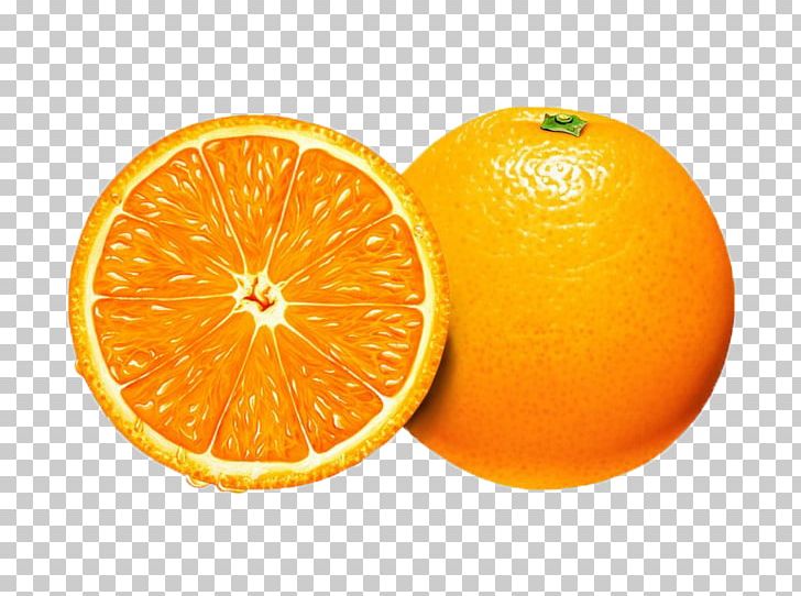 Orange Juice Fruit PNG, Clipart, Bitter Orange, Blood Orange, Citric Acid, Citrus, Clementine Free PNG Download
