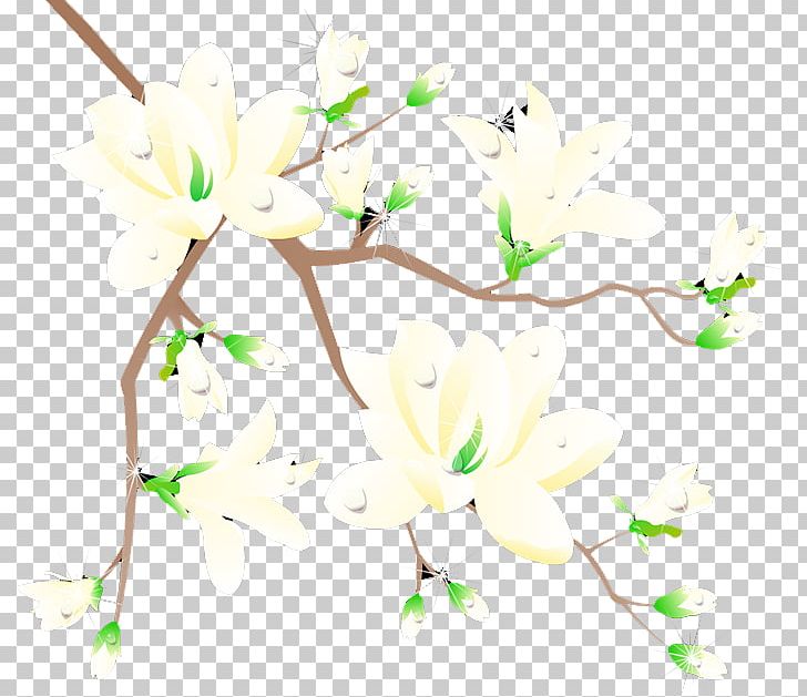 Plum Blossom Flower PNG, Clipart, Branch, Branches, Flora, Floral Design, Floristry Free PNG Download