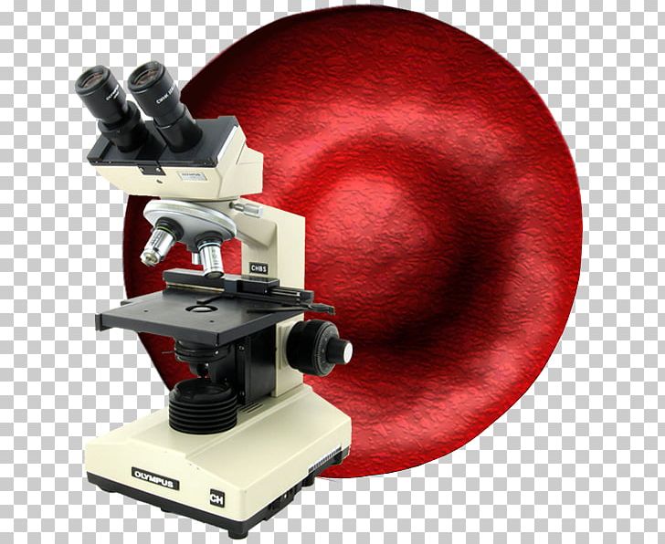 Microscope Live Blood Analysis Microscopy Blood Cell PNG, Clipart, Blood, Blood Cell, Blood Test, Cell, Diagnostic Test Free PNG Download