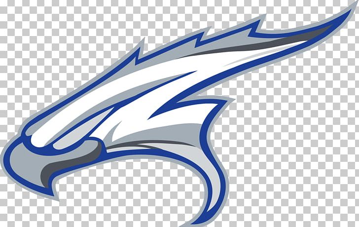 blue falcon logo