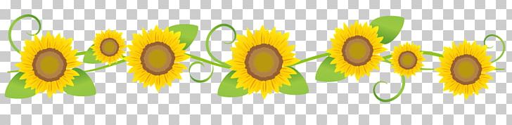 Sunflower Flower Line Art. PNG, Clipart,  Free PNG Download