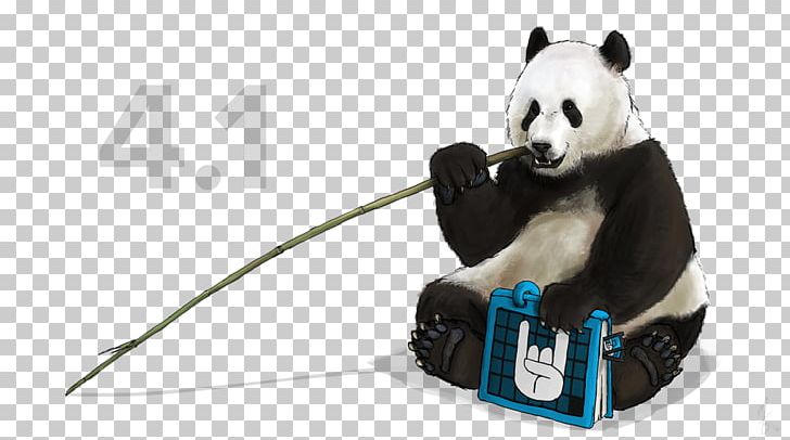Giant Panda Snout Ailuropoda PNG, Clipart, Ailuropoda, Bear, Carnivoran, Giant Panda, Panada Free PNG Download