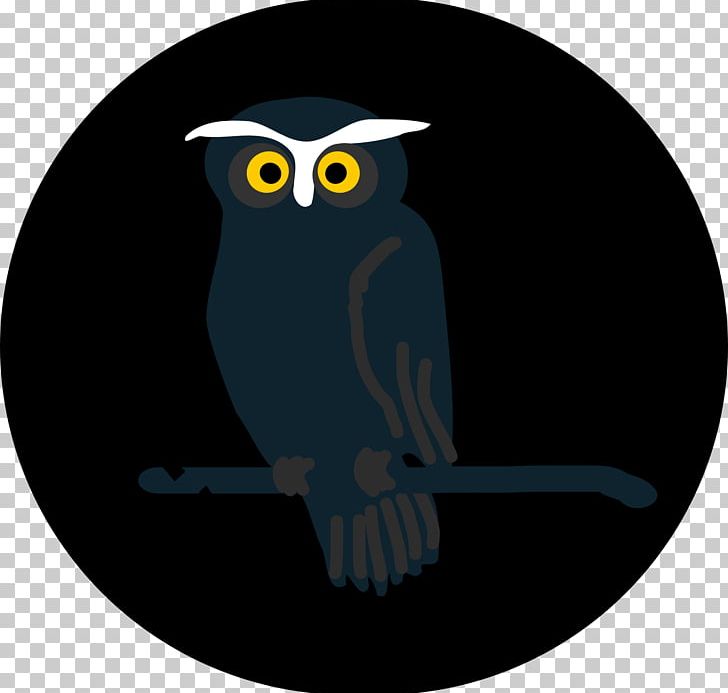 Little Owl Bird Yellow PNG, Clipart, Animals, Beak, Bird, Bird Of Prey, Black Free PNG Download