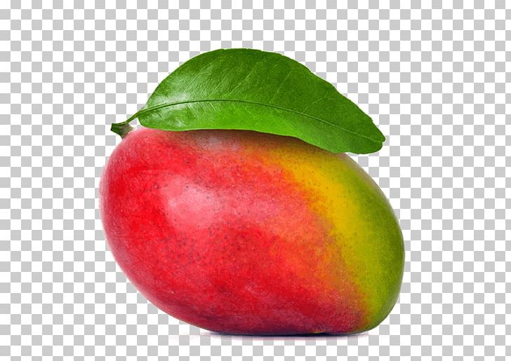Mango Mangifera Indica Tommy Atkins Tropical Fruit PNG, Clipart, Accessory Fruit, Apple, Auglis, Diet Food, Drawing Free PNG Download