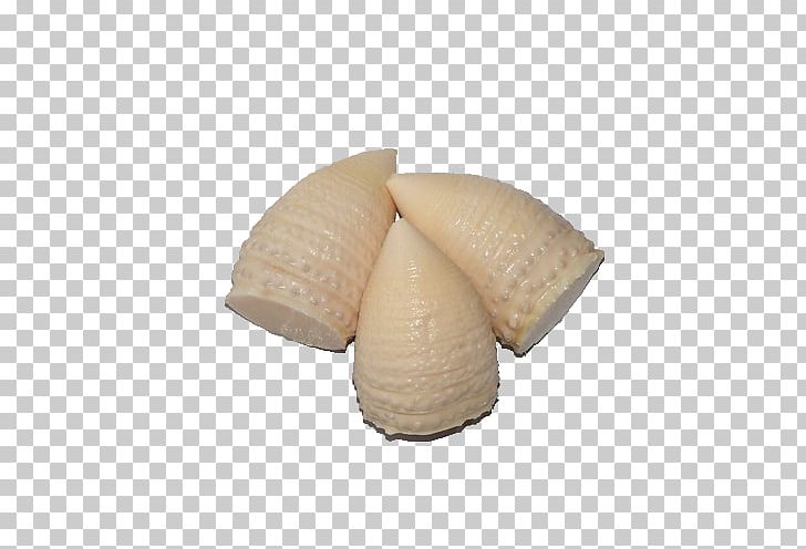 Bamboo Shoot Cockle PNG, Clipart, Agricultural Products, Bamboo, Bamboo Leaves, Bamboo Shoot, Bamboo Shoots Free PNG Download