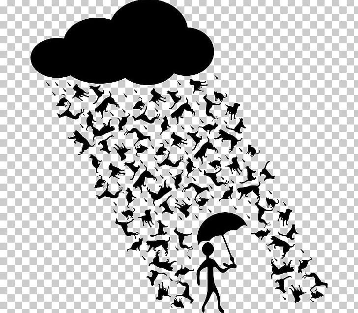 Cats & Dogs Cats & Dogs Rain Mouse PNG, Clipart, Animals, Black, Black And White, Branch, Cat Free PNG Download