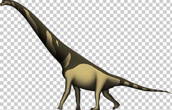 Cedarosaurus Utahraptor Apatosaurus Brachiosaurus Dinosaur PNG, Clipart, Apatosaurus, Barremian, Brachiosauridae, Brachiosaurus, Cedarosaurus Free PNG Download