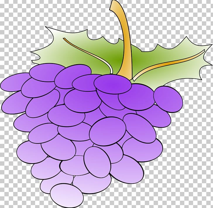 Common Grape Vine Wine Grape Leaves PNG, Clipart, Anonymous, Art, Common Grape Vine, Drawing, Flower Free PNG Download
