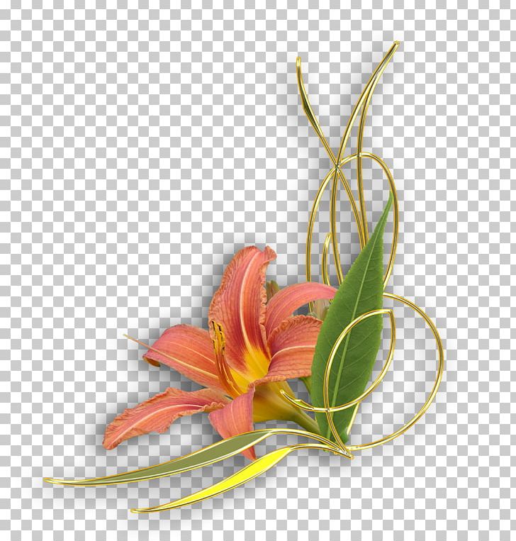 Flower Photography PNG, Clipart, Cut Flowers, Dekoratif, Desktop Wallpaper, Flora, Floral Design Free PNG Download