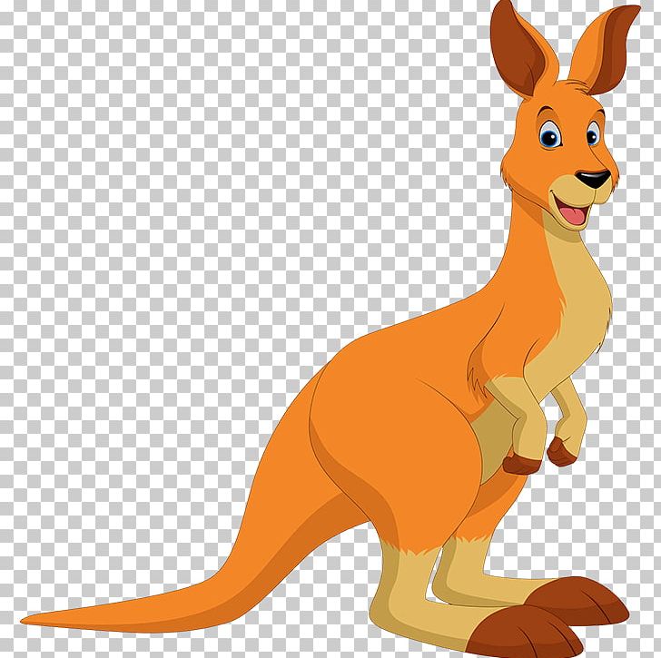 Kangaroo Red Fox Macropodidae Dog Canidae PNG, Clipart, Animals, Canidae, Carnivoran, Cartoon, Dog Free PNG Download