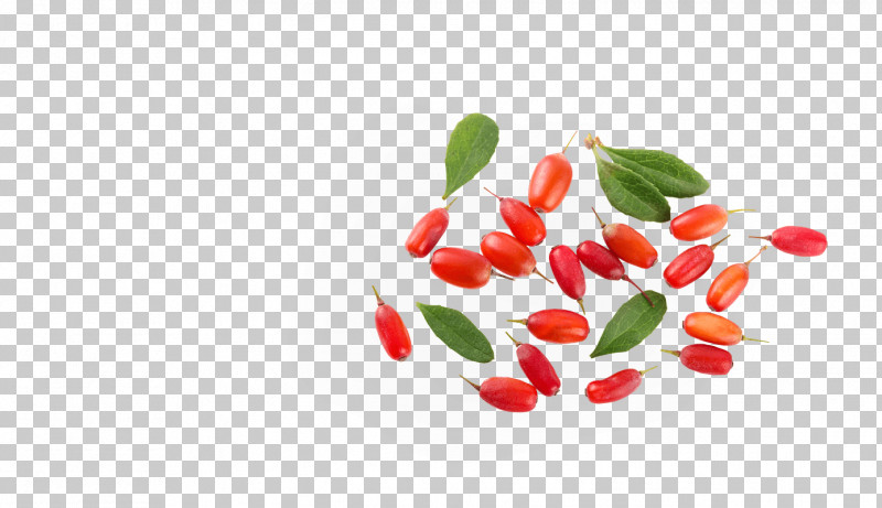 Tabasco Pepper Red Plant Superfruit Food PNG, Clipart, Arctostaphylos, Berry, Chili Pepper, Flower, Food Free PNG Download