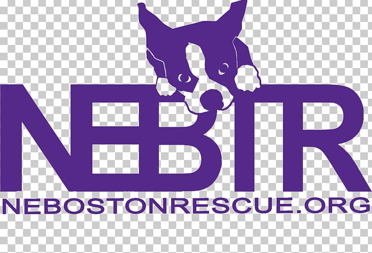 Boston Terrier Cat Pet T-shirt PNG, Clipart, Adoption, Animal, Animals, Area, Boston Free PNG Download