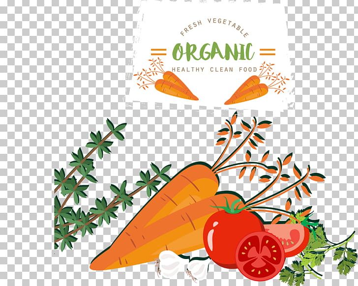 Fruit Vegetable Food Tomato Carrot PNG, Clipart, Characteristic Food, Coriander, Download, Flor, Flower Free PNG Download