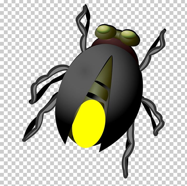 Beetle Firefly PNG, Clipart, Animals, Beetle, Big Picture Without Picking, Download, Hand Free PNG Download