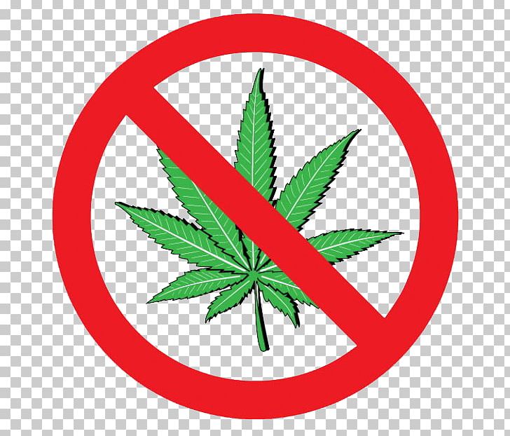 Cannabis Smoking Drug Possession Cannabis Shop Dispensary PNG, Clipart, 420 Day, Cannabis, Drug, Hemp, Hemp Family Free PNG Download