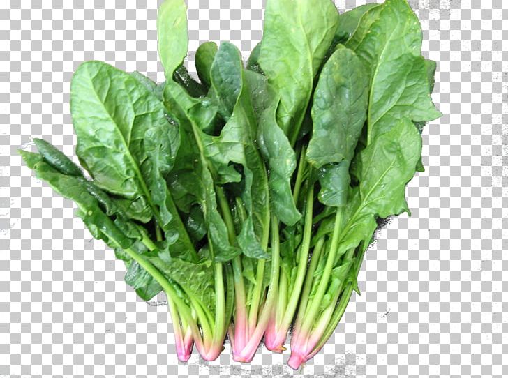 Spinach Leaf Vegetable Chard Broccoli PNG, Clipart, Broccoli, Cauliflower, Celtuce, Chard, Chinese Broccoli Free PNG Download
