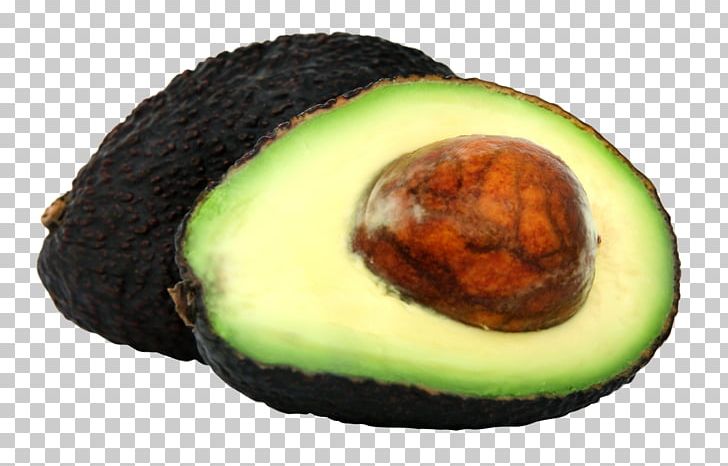 Avocado Computer Icons PNG, Clipart, Avocado, Computer Icons, Desktop Wallpaper, Display Resolution, Download Free PNG Download