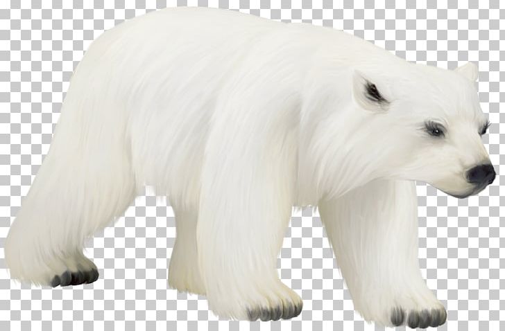 Baby Polar Bear American Black Bear PNG, Clipart, American Black Bear, Animal, Animal Figure, Animals, Baby Polar Bear Free PNG Download