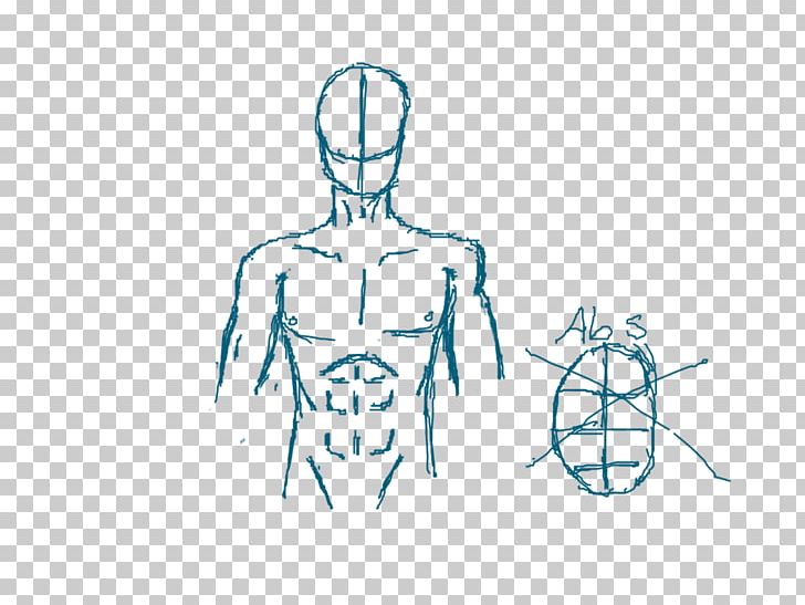 Drawing Diagram Rectus Abdominis Muscle PNG, Clipart, Abdomen, Abs, Anatomy Drawing, Angle, Arm Free PNG Download