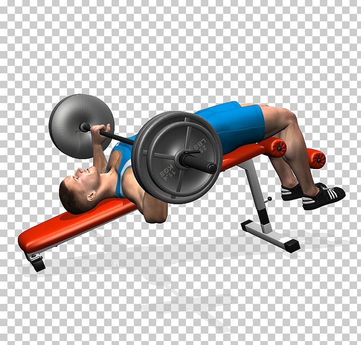Weight Training Bench Press Barbell Fly PNG, Clipart, Arm, Balance, Barbell, Bench, Bench Press Free PNG Download