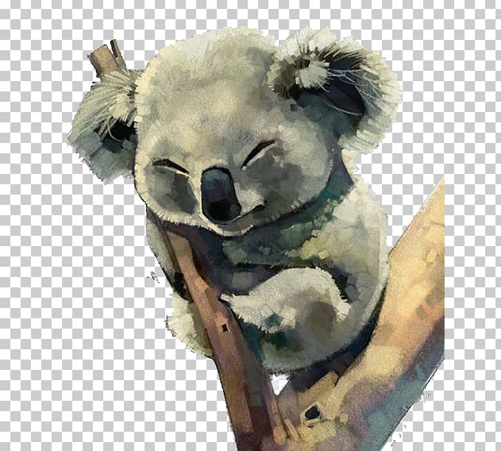 Australia Koala Watercolor Painting PNG, Clipart, Acrylic Paint, Animal, Animals, Art, Cartoon Free PNG Download