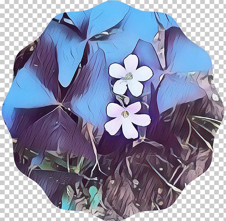 Umbrella PNG, Clipart, Flower, Lunch Break, Petal, Plant, Purple Free PNG Download