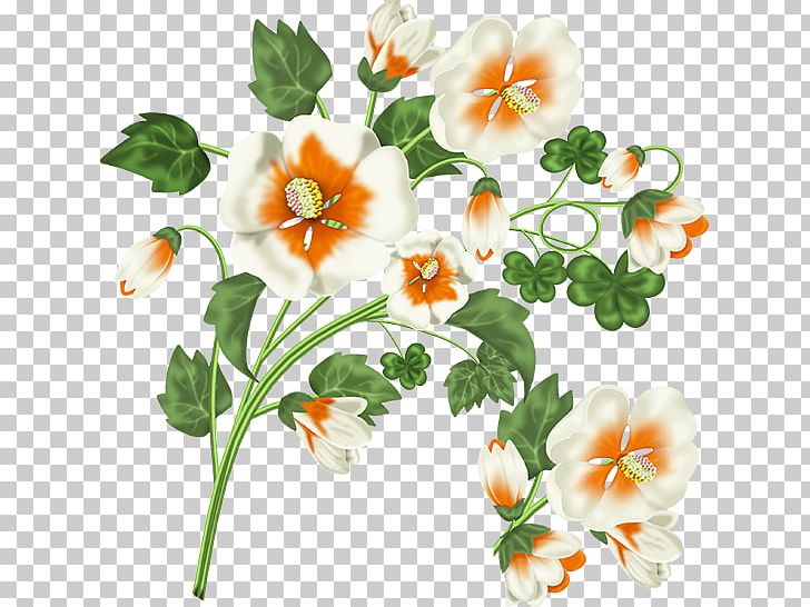Flower Blog PNG, Clipart, Allah, Annual Plant, Blog, Cari, Centerblog Free PNG Download