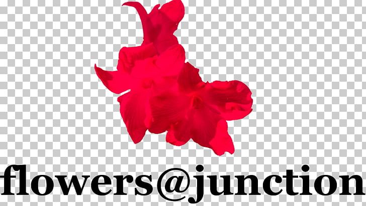 Flowers @ Junction Petal Floristry Ikebana PNG, Clipart, Arrangement, Brand, Buddhism, English, Floristry Free PNG Download
