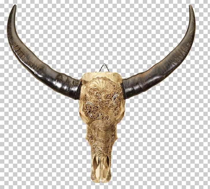 Human Skull Water Buffalo Bone Horn PNG, Clipart, Architecture, Bone, Cattle, Cattle Like Mammal, Decoration Free PNG Download