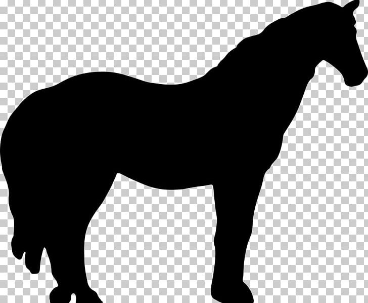Irish Wolfhound Irish Terrier Horse Silhouette PNG, Clipart, Animals, Animal Silhouettes, Art, Best In Show, Black And White Free PNG Download